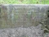 image of grave number 164393